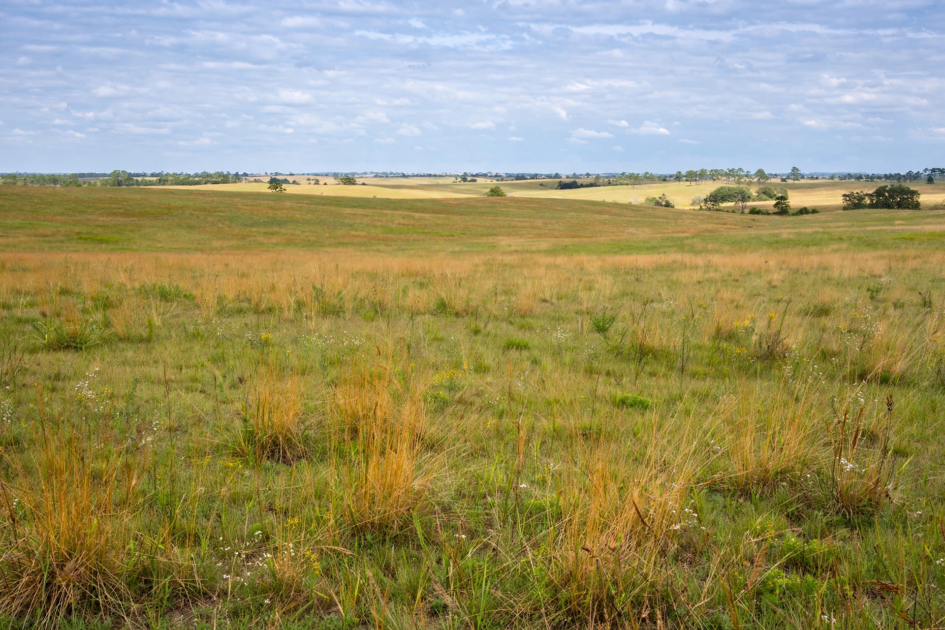 Open farmland stretching to the horizon